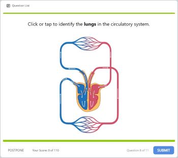 27. The Circulatory System Image