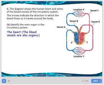 27. Activity Solutions Slides Image
