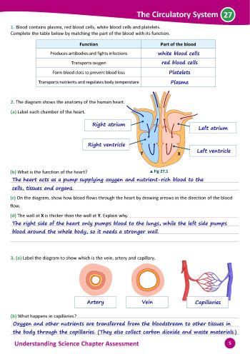 27. Assessment Solutions PDF Image