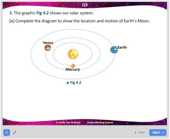 4. Activity Solutions Slides Image