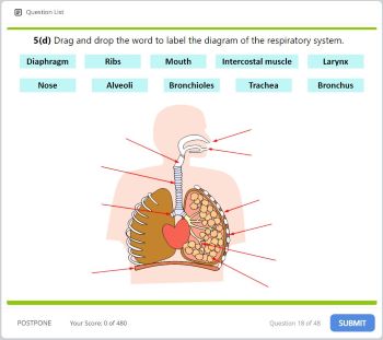 Quiz 3 Image