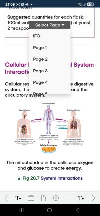 Accessible Version Image
